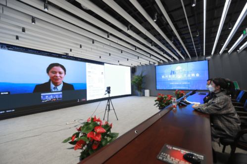 云端引才结硕果 杭州云聘会见证33.3万份简历与万余人才意向达成