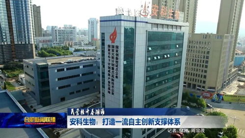 安科生物 合肥创新引擎，研发投入超营收10%的行业先锋